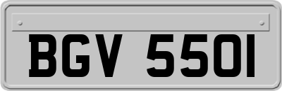 BGV5501