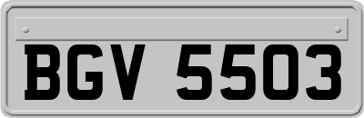 BGV5503