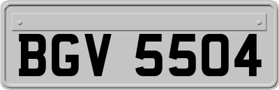 BGV5504