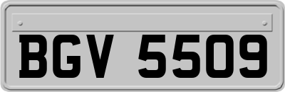 BGV5509
