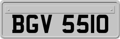 BGV5510