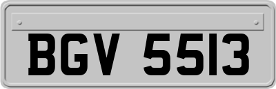 BGV5513