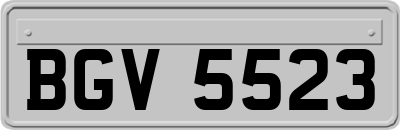 BGV5523
