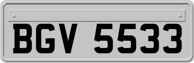 BGV5533