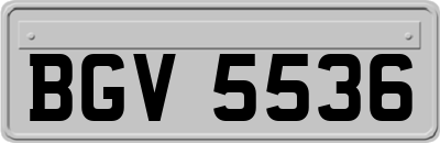 BGV5536