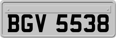 BGV5538