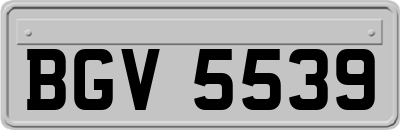 BGV5539