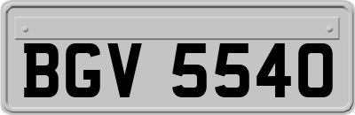 BGV5540