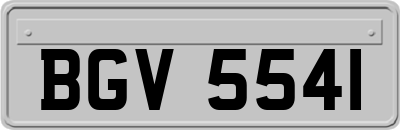 BGV5541