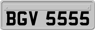 BGV5555