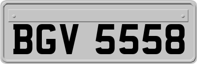 BGV5558