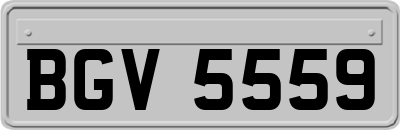 BGV5559