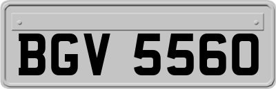 BGV5560