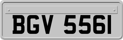 BGV5561