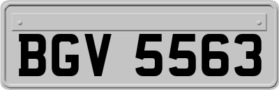 BGV5563