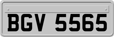 BGV5565