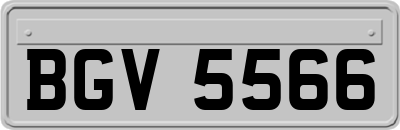 BGV5566