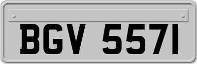 BGV5571