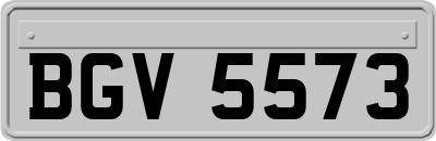 BGV5573