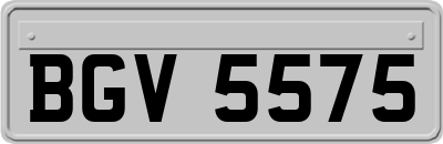 BGV5575