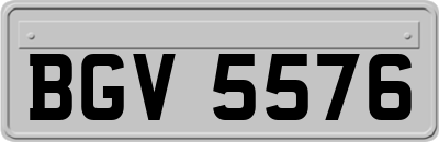 BGV5576