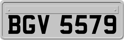 BGV5579