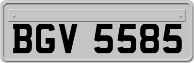 BGV5585