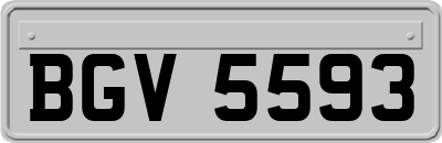 BGV5593