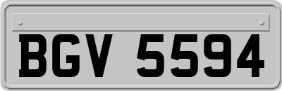 BGV5594