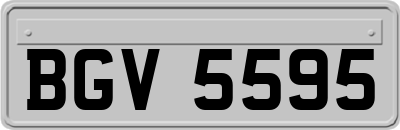 BGV5595