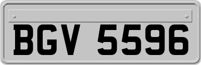 BGV5596