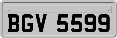 BGV5599