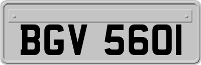 BGV5601
