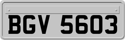 BGV5603