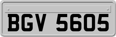 BGV5605