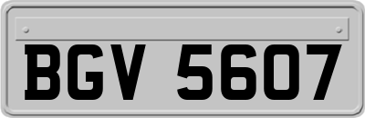 BGV5607