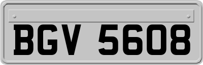 BGV5608