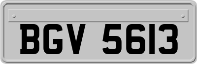 BGV5613