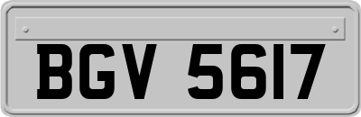 BGV5617