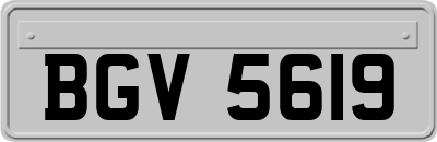 BGV5619