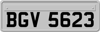 BGV5623