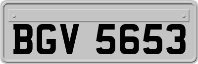 BGV5653