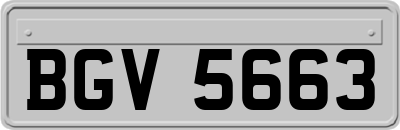 BGV5663