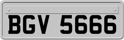 BGV5666