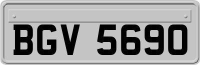 BGV5690