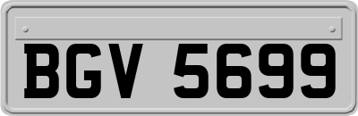 BGV5699