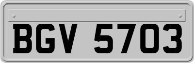 BGV5703