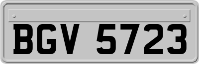 BGV5723