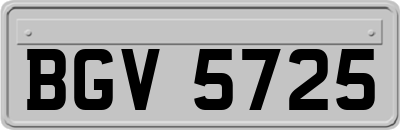 BGV5725