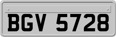 BGV5728